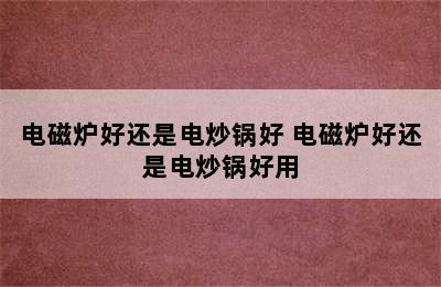 电磁炉好还是电炒锅好 电磁炉好还是电炒锅好用